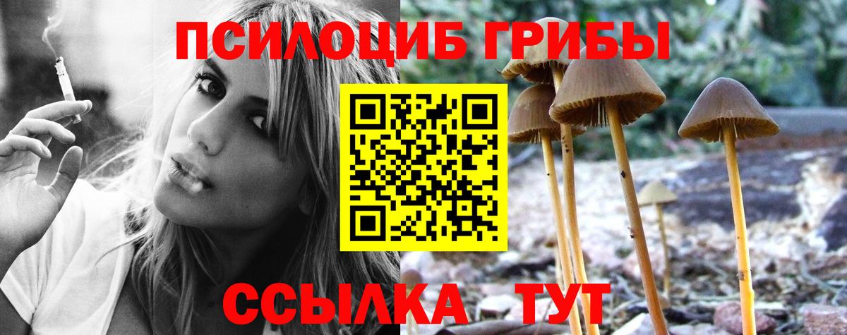 Галлюциногенные грибы GOLDEN TEACHER  Вход с VPN  Галлюциногенные грибы Cubensis  Будённовск 