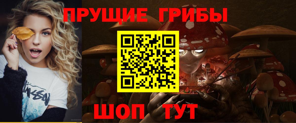 Галлюциногенные грибы мухоморы Будённовск